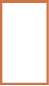 Orange outline for 